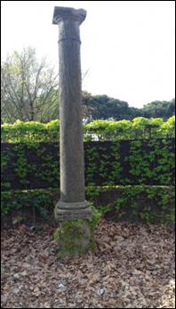 colonna peste1